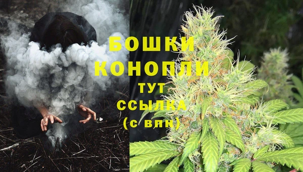 COCAINE Белокуриха