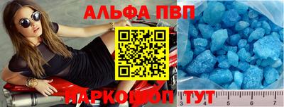 спайс Кингисепп