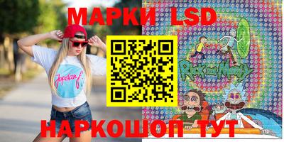 спайс Кингисепп