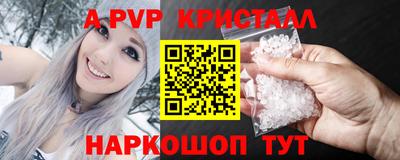 спайс Кингисепп