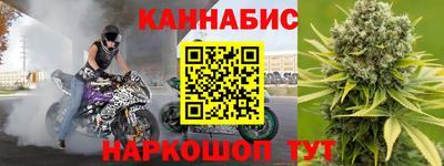 спайс Кингисепп