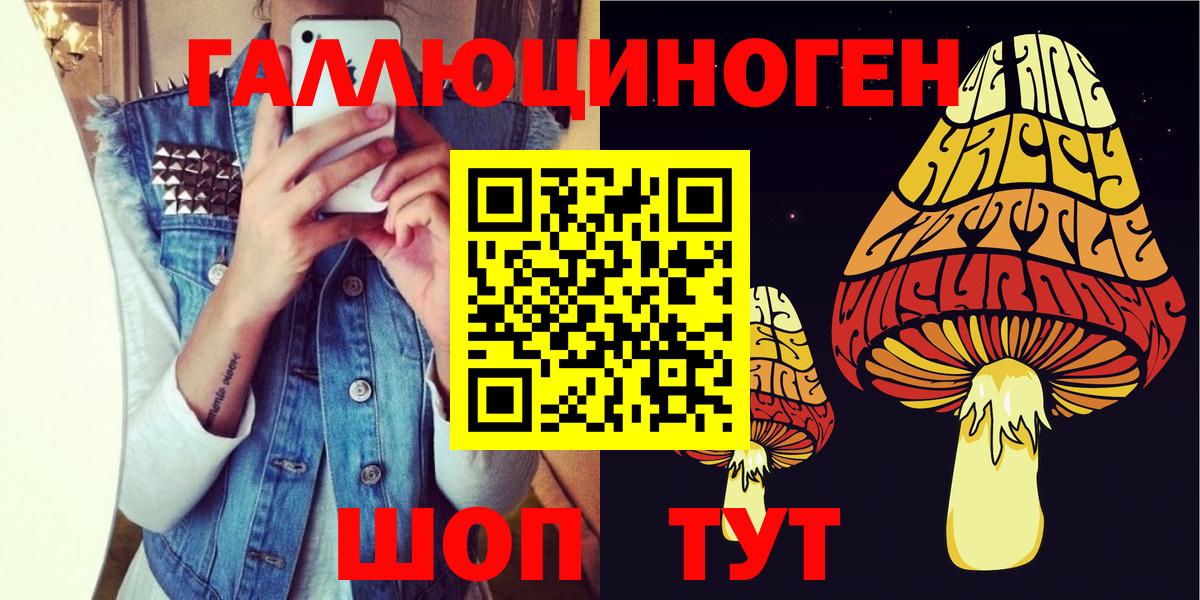 Псилоцибиновые грибы GOLDEN TEACHER  Вход с VPN  Кушва 