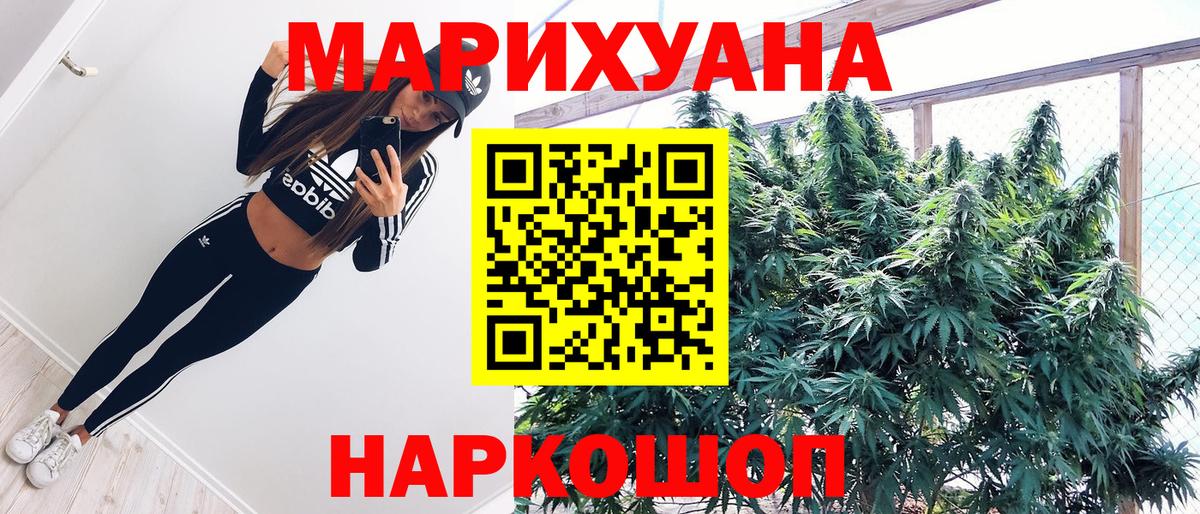 Бошки марихуана планчик  Вход с VPN  Марихуана гибрид  Бошки марихуана семена  Кушва  Канабис THC 21% 